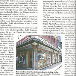 01.1994-Thy Skylife Sayı 1