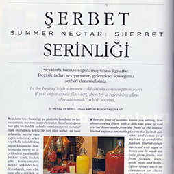 07.1994-Thy Skylife Sayı 7