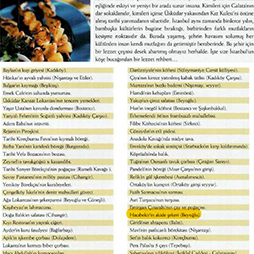 11.2004-Ulusoy Travel Kasım Sayısı