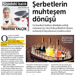 20.07.2014-Milliyet Pazar