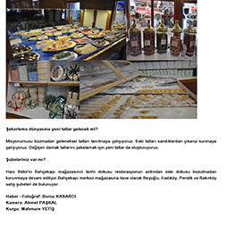 03.02.2015-Istanbul Ajansı Şubat