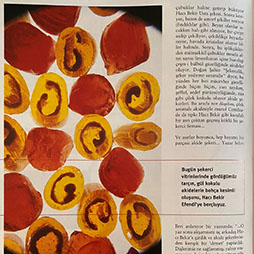 02.2002-İdo-Sealife Şubat Sayısı