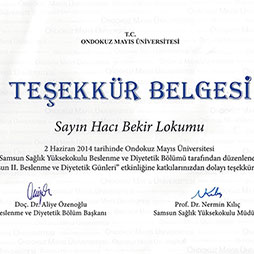 2014 Samsun 19 Mayıs Üniversitesi
